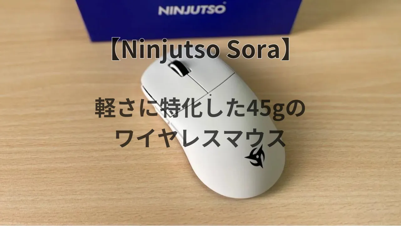 Ninjitso Sora レビュー