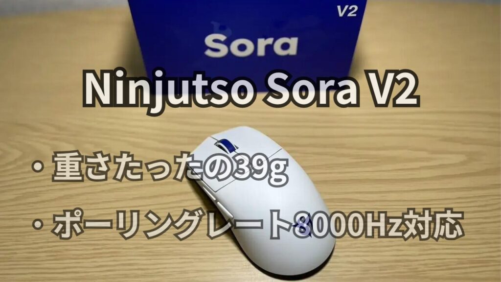 Ninjutso Sora V2　レビュー